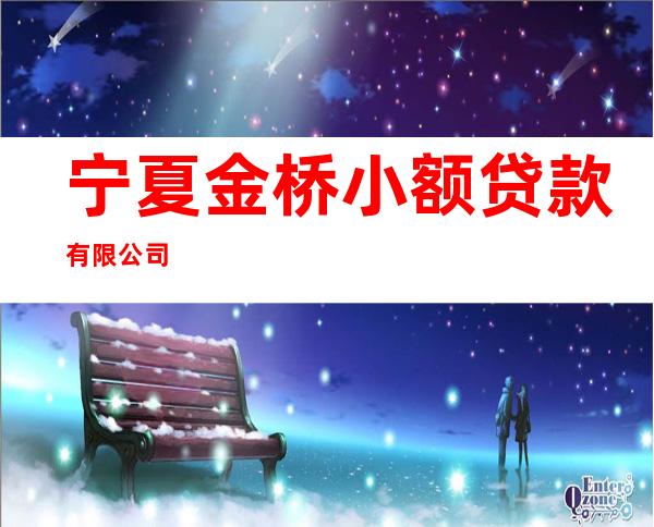 宁夏金桥小额贷款有限公司